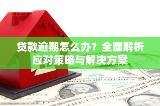 兰州贷款逾期怎么办？全面解析应对策略与解决方案