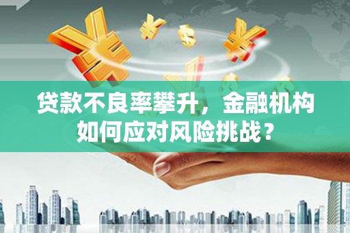 玉山贷款不良率攀升，金融机构如何应对风险挑战？
