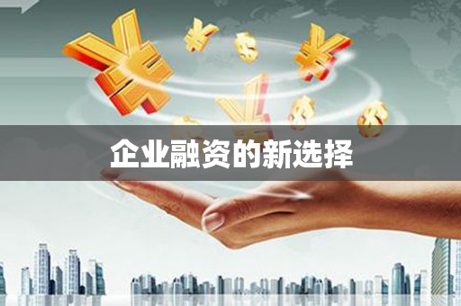 遂溪企业融资的新选择