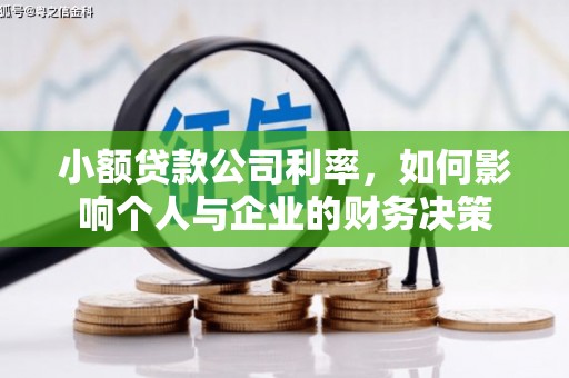 全州小额贷款公司利率，如何影响个人与企业的财务决策