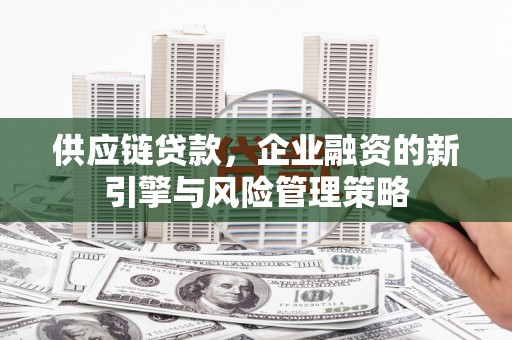 东乡族供应链贷款，企业融资的新引擎与风险管理策略