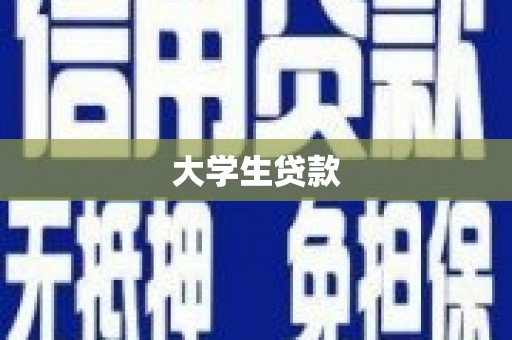 岳塘大学生贷款
