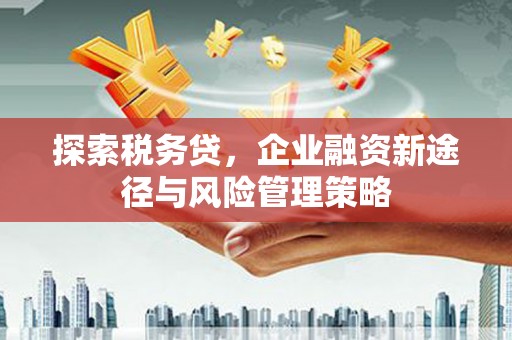 金山探索税务贷，企业融资新途径与风险管理策略