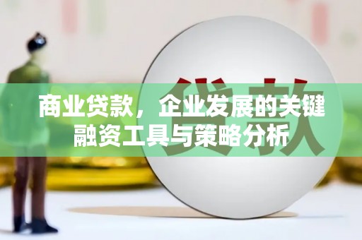 连云商业贷款，企业发展的关键融资工具与策略分析