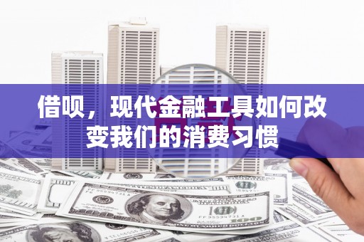 雷州借呗，现代金融工具如何改变我们的消费习惯