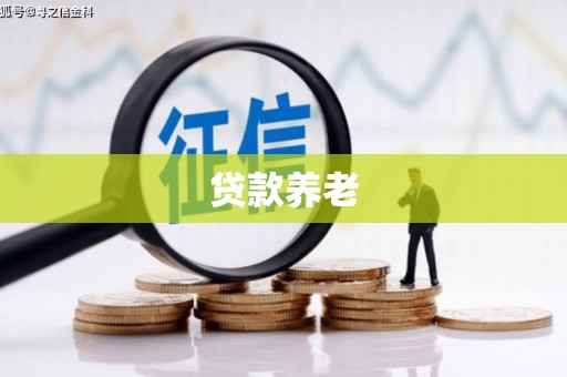 泗阳贷款养老