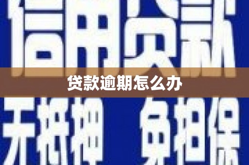 江城贷款逾期怎么办