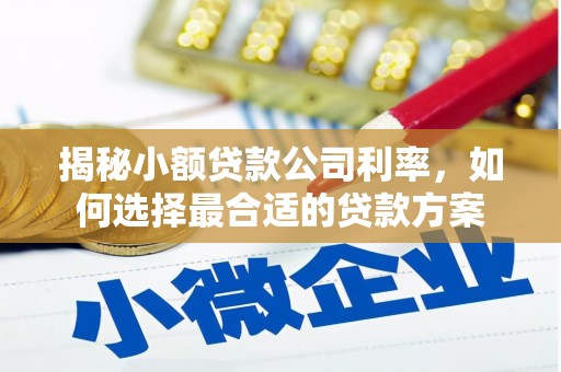 盐津揭秘小额贷款公司利率，如何选择最合适的贷款方案