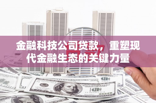 云和金融科技公司贷款，重塑现代金融生态的关键力量