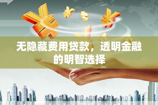 乌日无隐藏费用贷款，透明金融的明智选择
