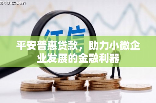 容县平安普惠贷款，助力小微企业发展的金融利器