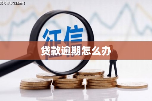 云浮贷款逾期怎么办