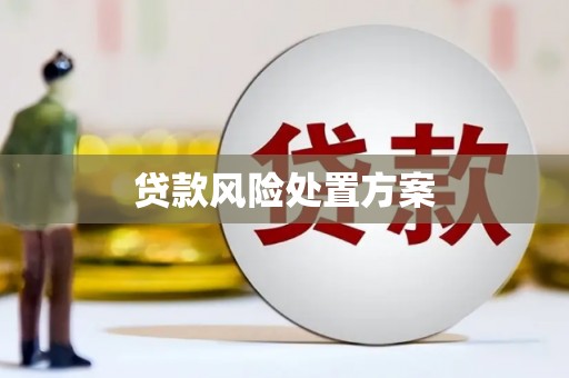 花坛贷款风险处置方案