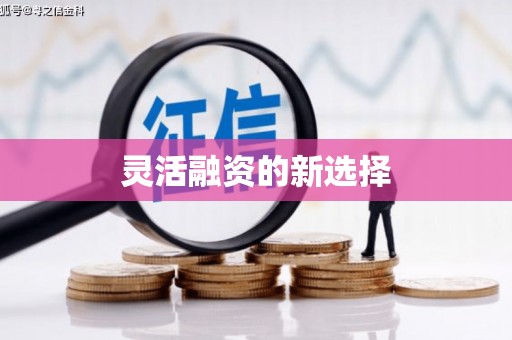 太保灵活融资的新选择