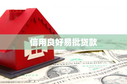 新河信用良好易批贷款