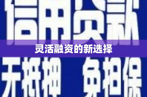 嘉模堂区灵活融资的新选择