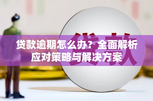 保亭贷款逾期怎么办？全面解析应对策略与解决方案