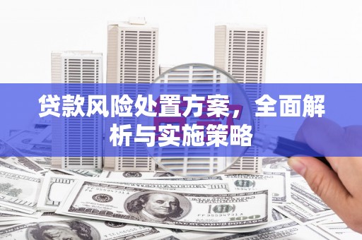 秀洲贷款风险处置方案，全面解析与实施策略