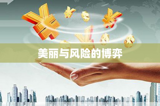 将军美丽与风险的博弈