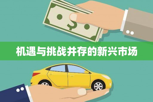 板桥机遇与挑战并存的新兴市场