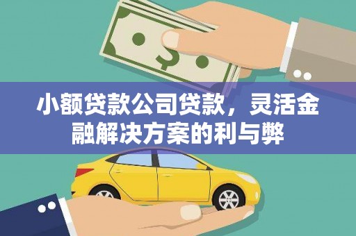 库尔勒小额贷款公司贷款，灵活金融解决方案的利与弊